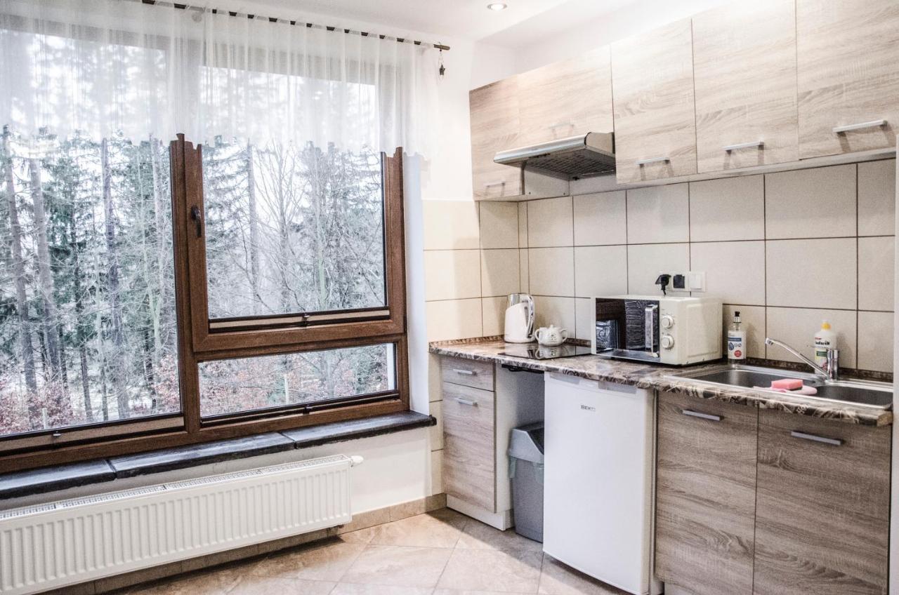 Willa Montis Szklarska Poręba Esterno foto